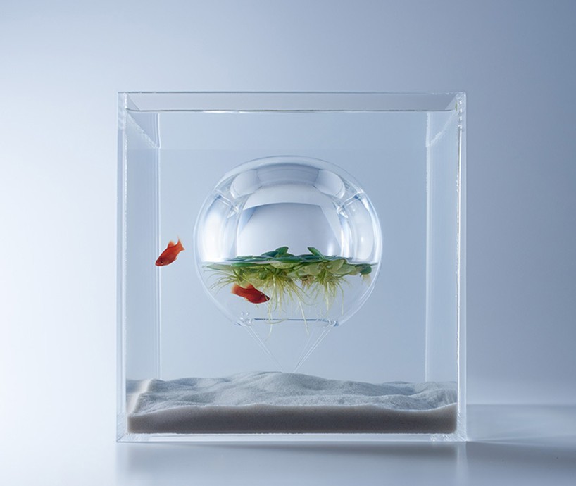 haruka-misawa-waterscape-fish-aquariums-designboom-04