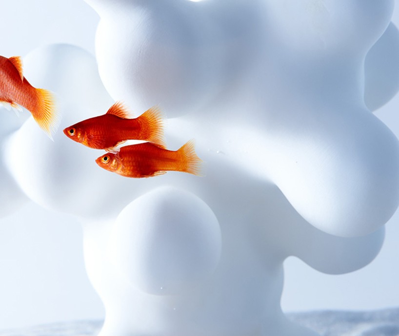 haruka-misawa-waterscape-fish-aquariums-designboom-06