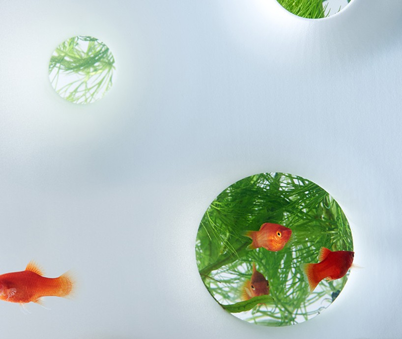 haruka-misawa-waterscape-fish-aquariums-designboom-07