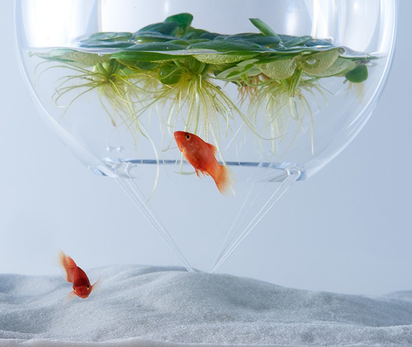 haruka-misawa-waterscape-fish-aquariums-designboom-09