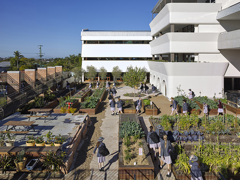 mount alvernia college m3architecture australia