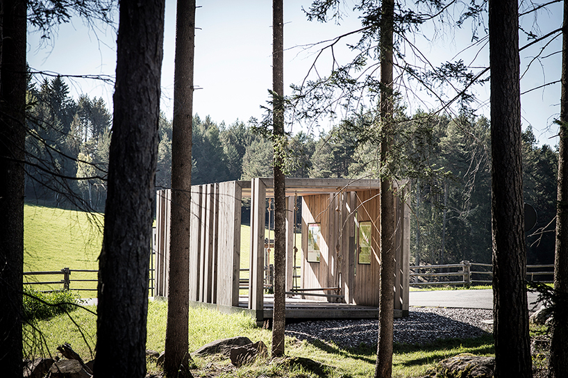 noa swinging frames