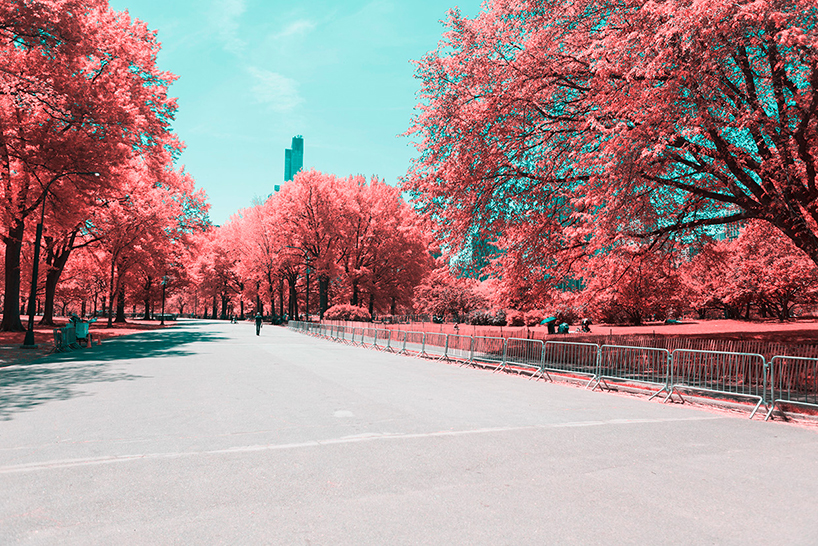 paolo-pettigiani-infrared-new-york-city-designboom-02