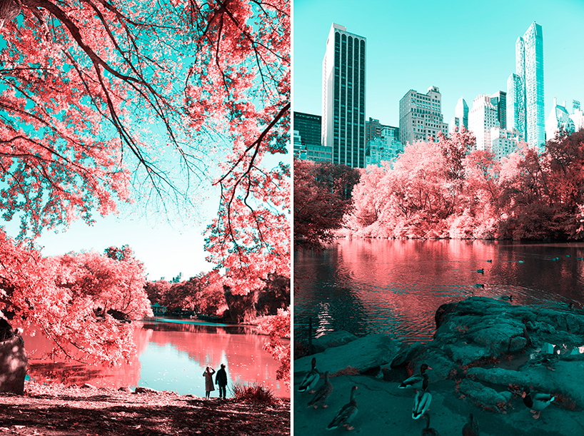paolo-pettigiani-infrared-new-york-city-designboom-02