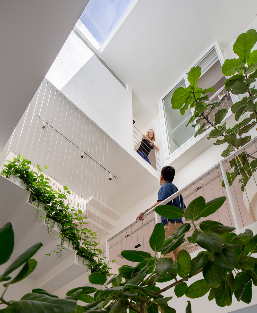 a-d-lab-garden-house-on-rienzi-street-designboom-02
