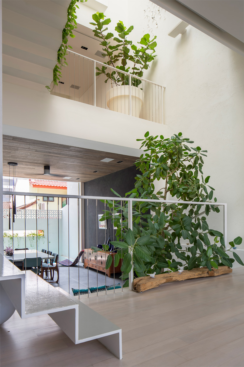 a-d-lab-garden-house-on-rienzi-street-designboom-02