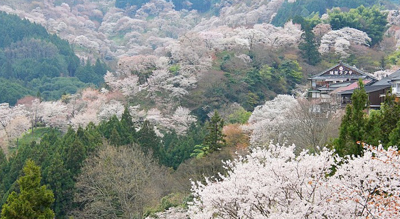 airbnb-go-hasegawa-kenya-hara-house-vision-designboom-02