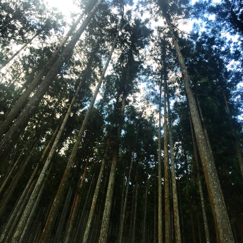 airbnb-go-hasegawa-kenya-hara-house-vision-designboom-02