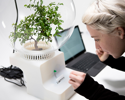 helene steiner uses enhanced digital communications to interact with plants