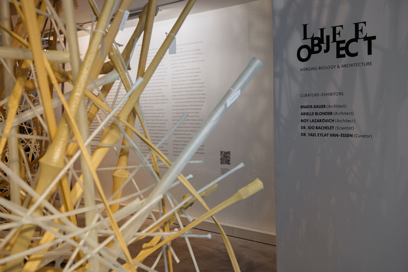 venice architecture biennale 2016 israeli pavilion designboom