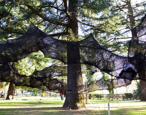 numen/for use suspends forest skyway in the treetops of south tyrol, italy
