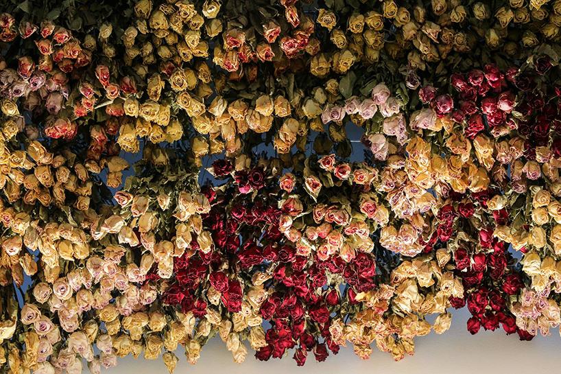 rebecca-louise-law-flower-canopy-eastland-melbourne-designboom-010