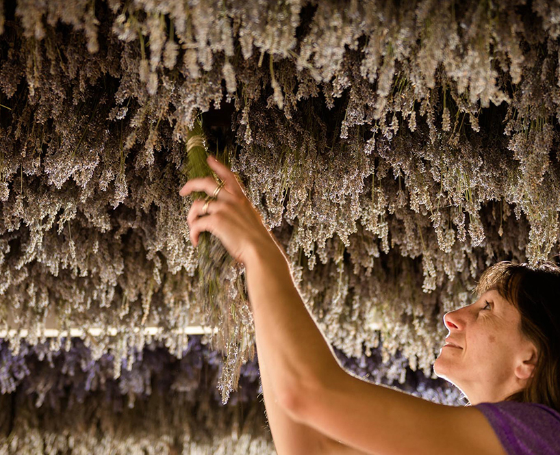 rebecca-louise-law-flower-canopy-eastland-melbourne-designboom-011
