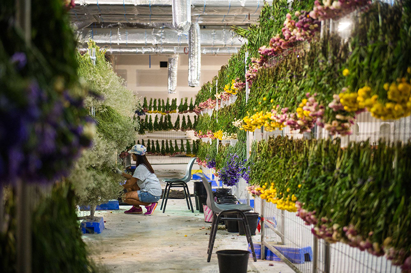 rebecca-louise-law-flower-canopy-eastland-melbourne-designboom-012
