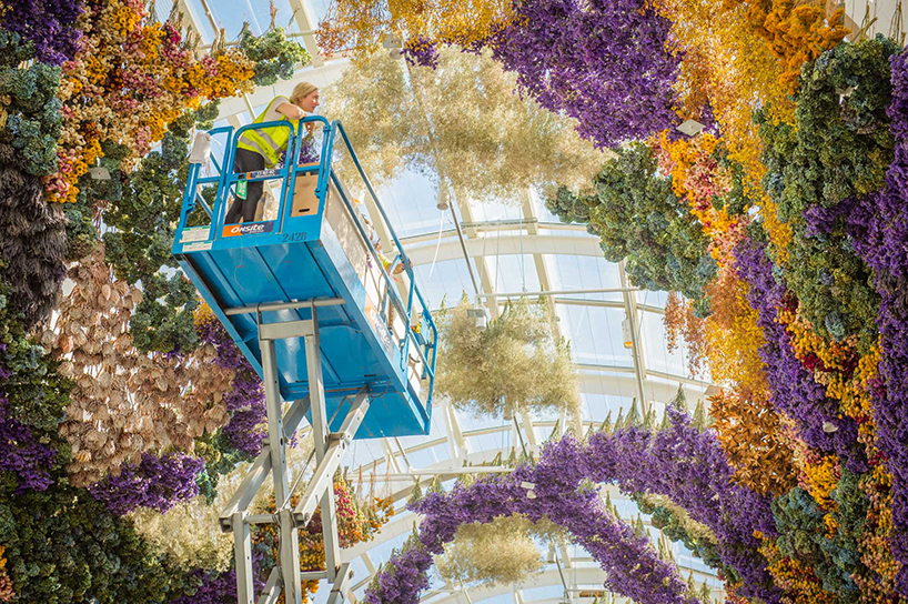 rebecca louise law suspends floral canopy in melbourne from 150,000 preserved blooms