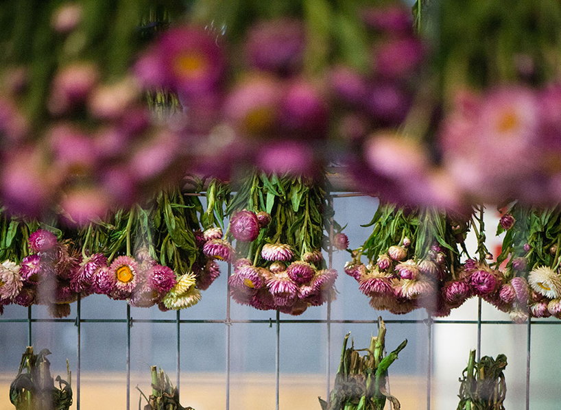 rebecca-louise-law-flower-canopy-eastland-melbourne-designboom-09