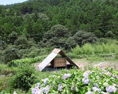kikuma watanabe builds shito shrine in depopulated village in japan