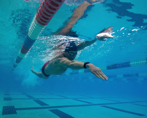 WHOOP revolutionizes way elite athletes, like lebron james, reduce injury + predict peak performance