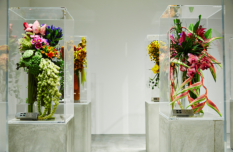 azuma-makoto-drop-time-exhibition-flowers-tokyo-designboom-02