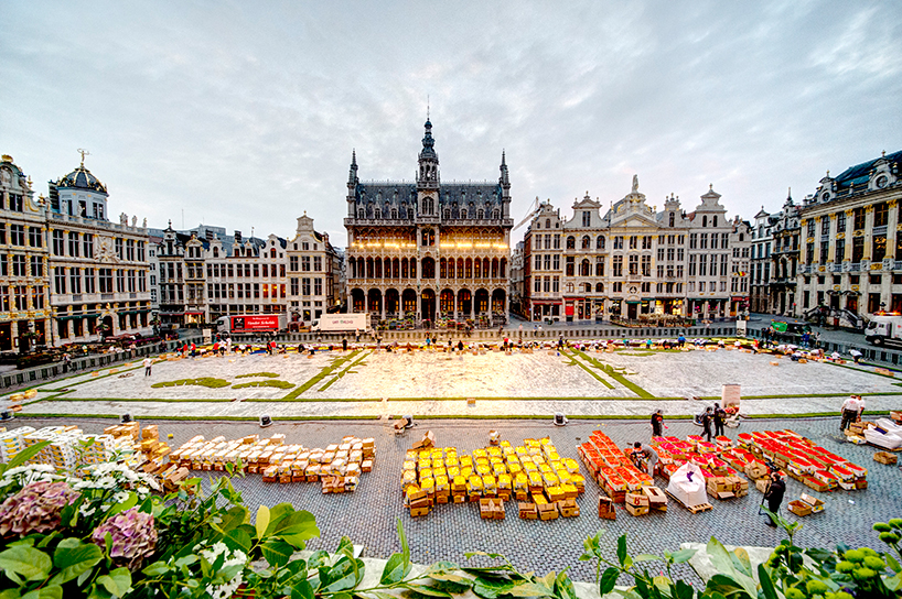600,000 blooms form flower carpet at brussels' grand place