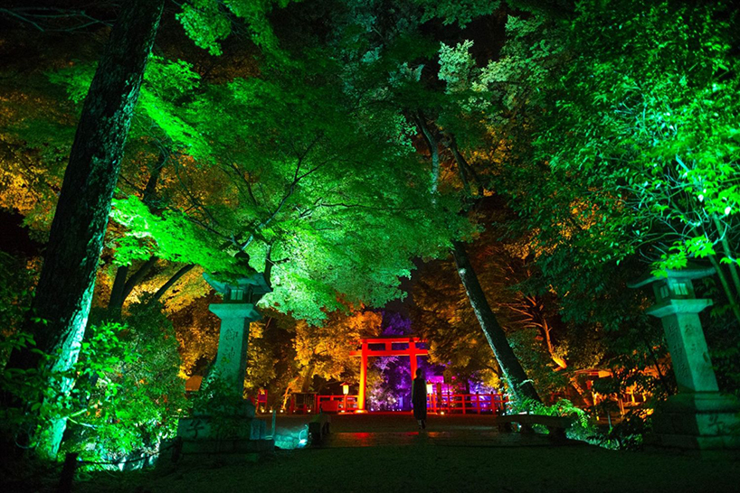 teamlab illuminates ancient shrine and surrounding forest