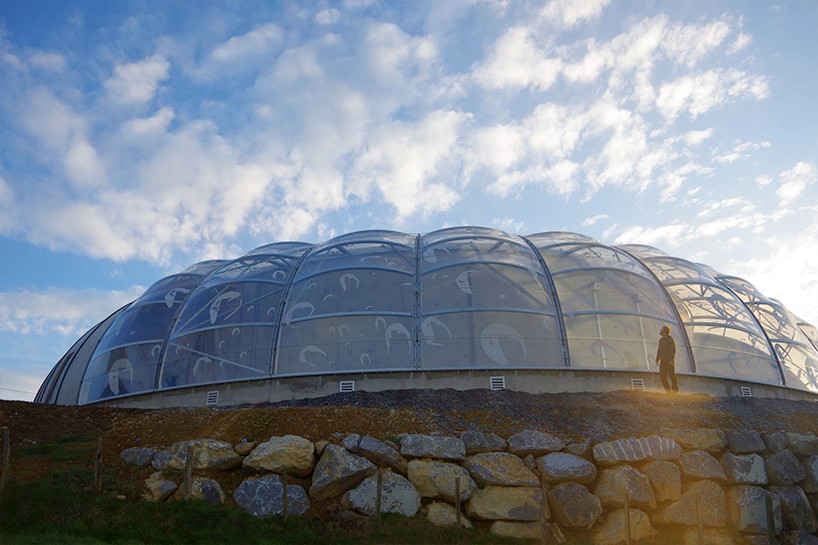 img_2_1475072967_f45e093d37f354df243896be73f50178