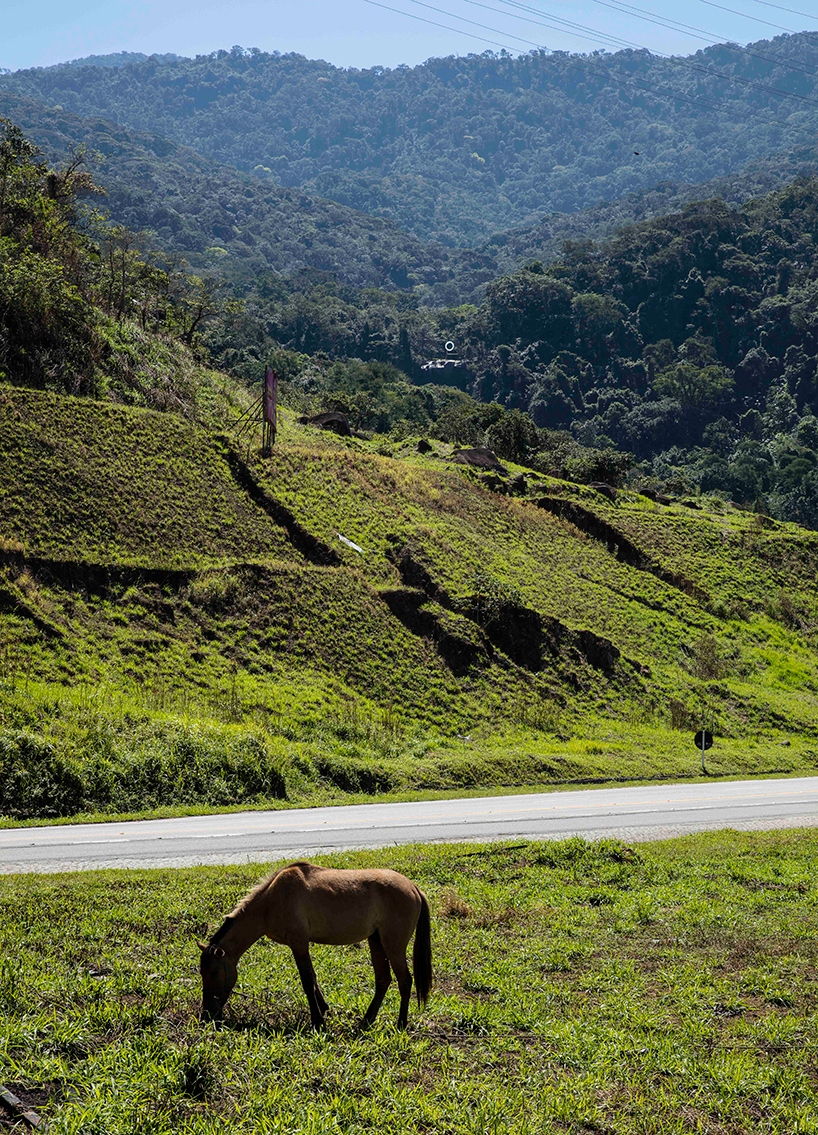 mariko-mori-ring-one-with-nature-rio-2016-olympics-designboom-02