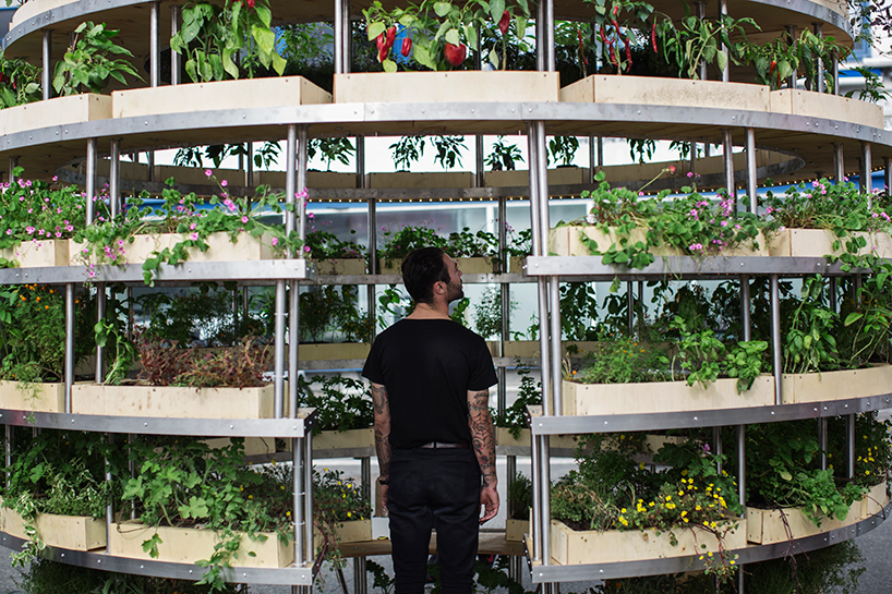 SPACE10 plants inhabitable growroom in copenhagen SPACE10 plants inhabitable growroom in copenhagen