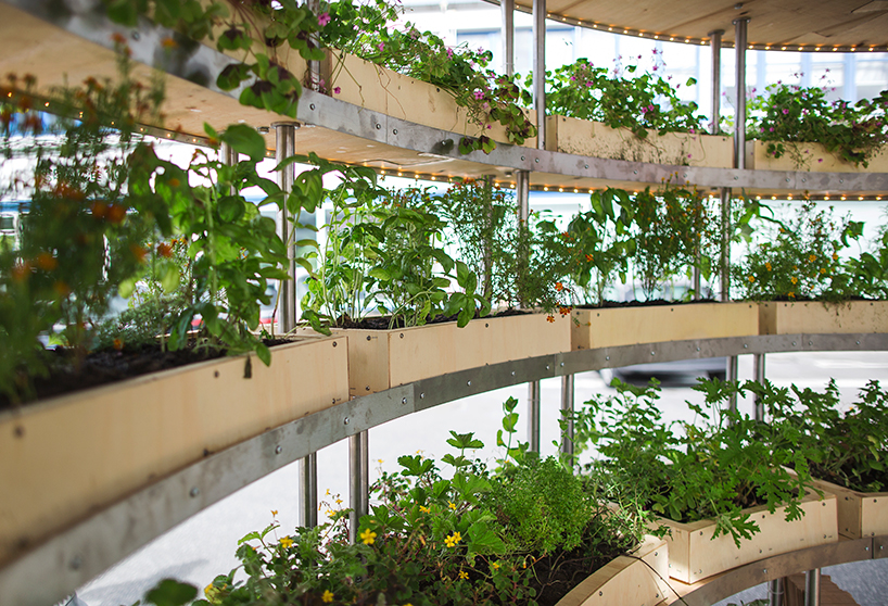 SPACE10 plants inhabitable growroom in copenhagen SPACE10 plants inhabitable growroom in copenhagen