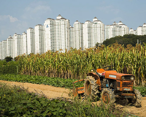 manuel alvarez diestro captures the hybrid countryside of south korea