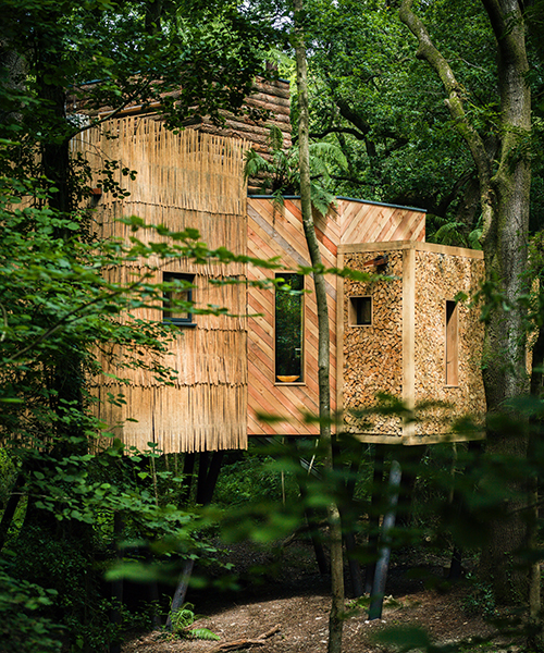 woodman's treehouse a sustainable sanctuary near the jurassic coast