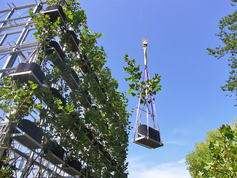 egger ferdinand ludwig baubotanik designboom