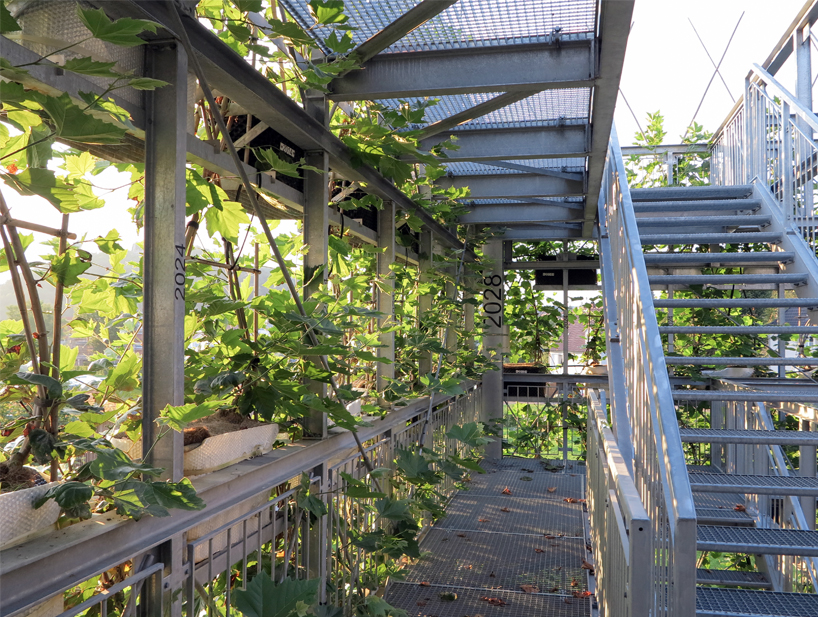 egger ferdinand ludwig baubotanik designboom