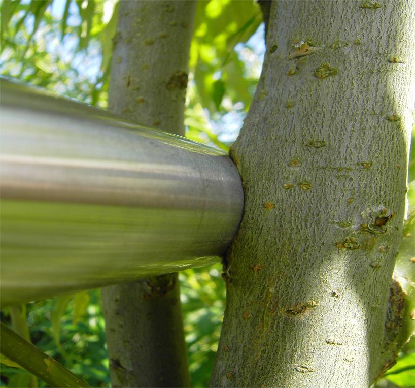 egger ferdinand ludwig baubotanik designboom