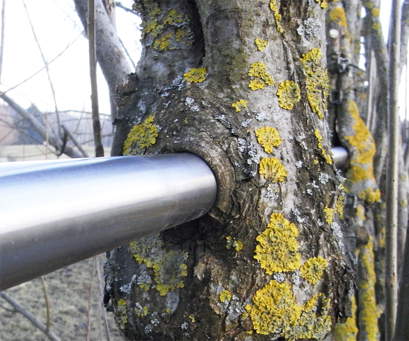 egger ferdinand ludwig baubotanik designboom