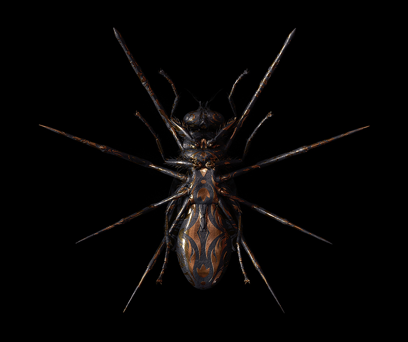 billelis-billy-bogiatzoglou-engraved-entomology-designboom-02