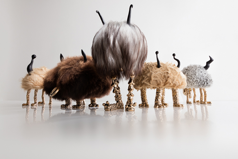 haas brothers king dong come