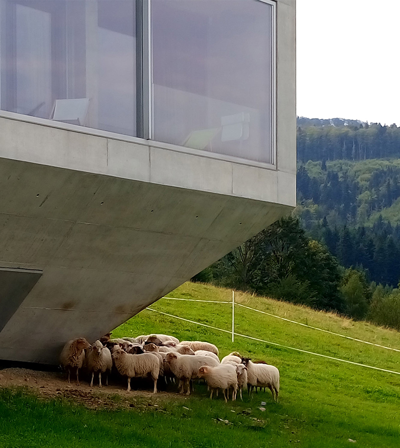 Noah's Ark Discovery: Prehistoric Site on Mount Ararat ... KWK promes completes konieczny's ark house in poland