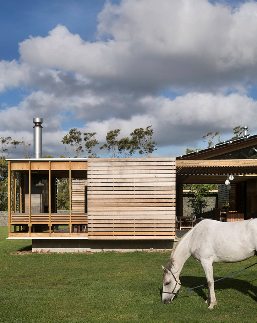 herbst-architects-bramasole-house-auckland-designboom-03
