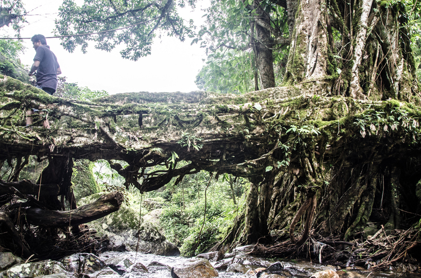 tech predictions biodesign architecture