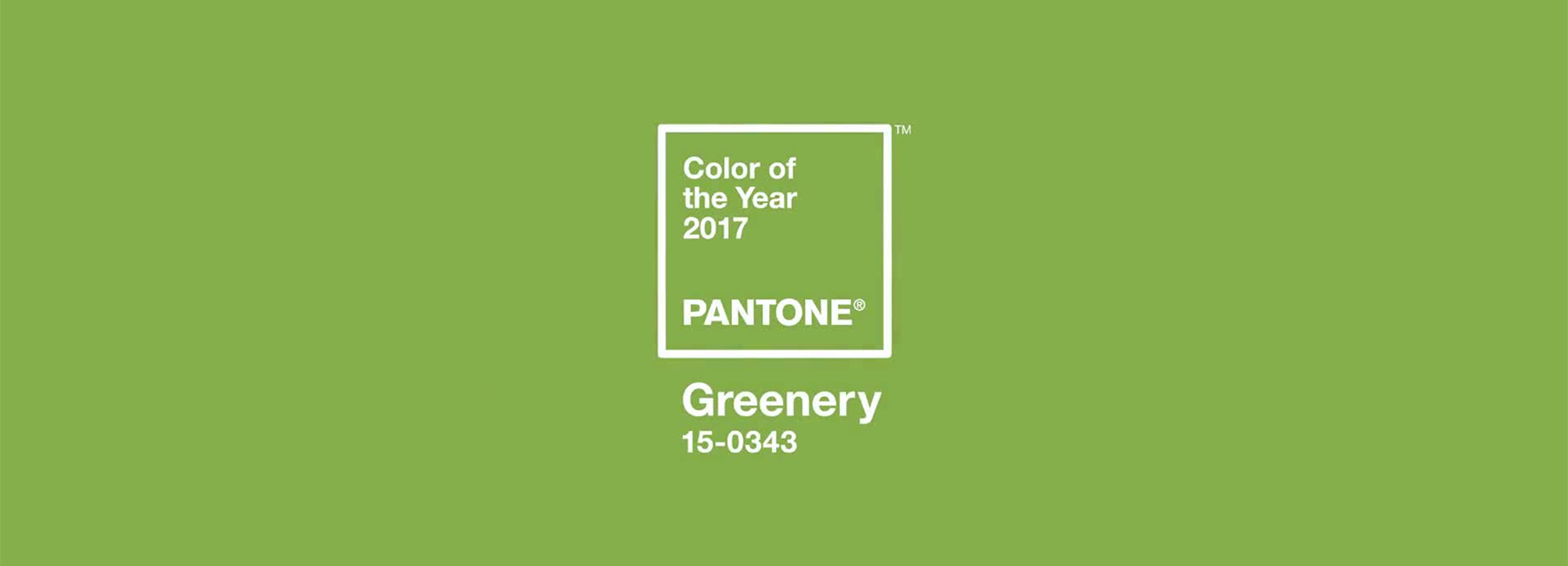 The Pantone Color Of The Year 2017 Greenery