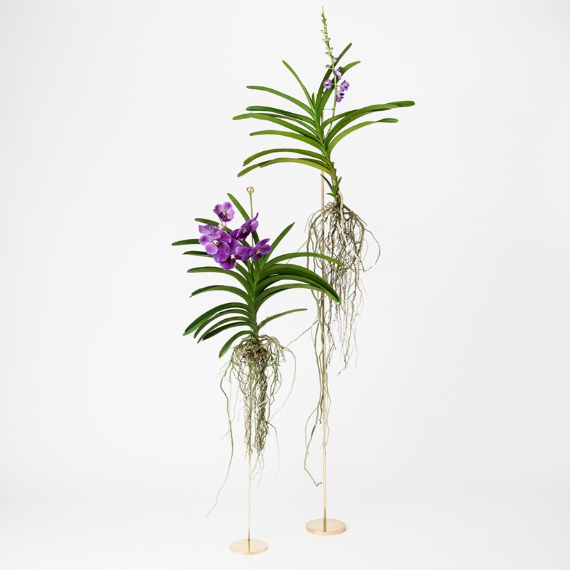 the-design-labo-botanical-hanger-gold-designboom-shop-03