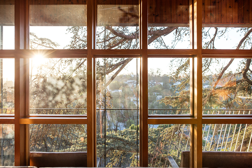 anonymous-architects-house-in-trees-echo-park-los-angeles-california-designboom-02