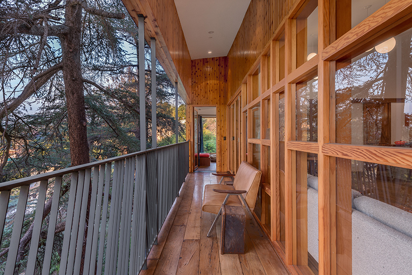 anonymous-architects-house-in-trees-echo-park-los-angeles-california-designboom-02