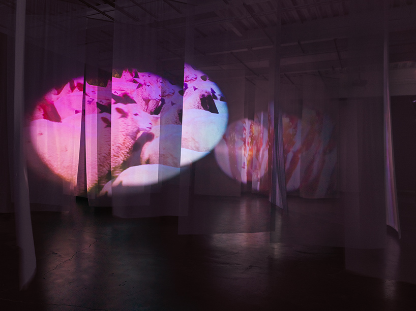 pipilotti-rist-new-museum-designboom-02