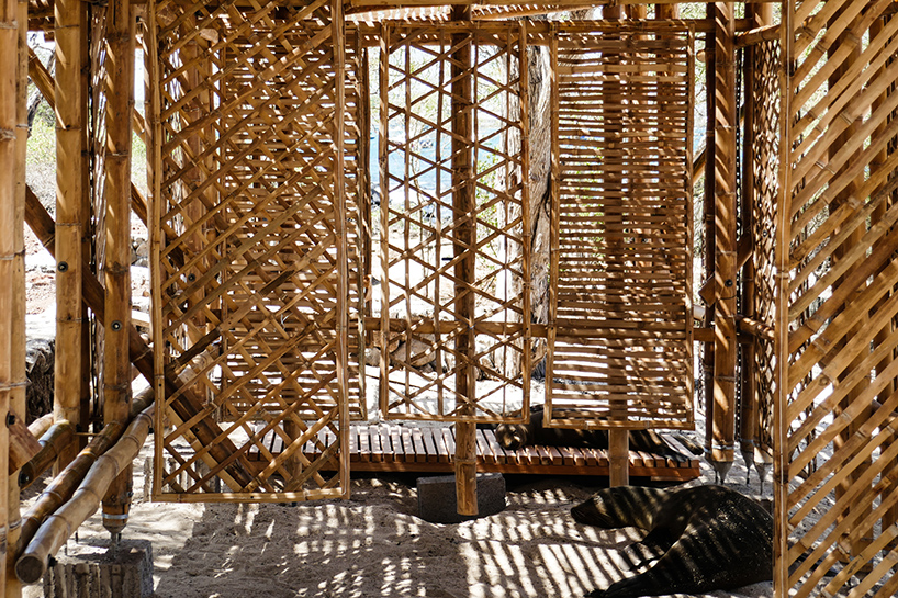 the-scarcity-and-creativity-studio-playa-man-bamboo-shade-shelter-galapagos-designboom-02
