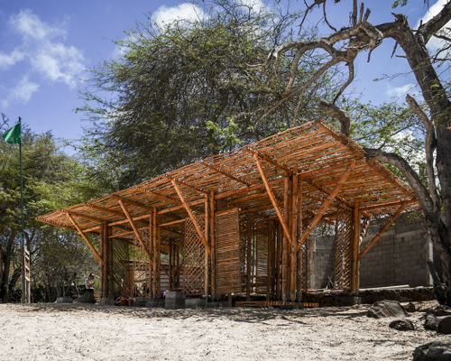 the scarcity and creativity studio uses bamboo for shade shelter in the galapagos
