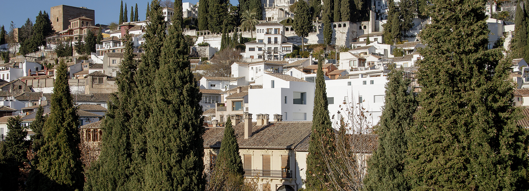 elisa valero completes experimental apartments in granada