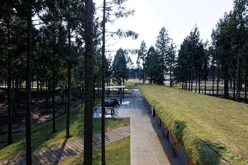 furuya-design-tokyo-classic-forest-clubhouse-designboom-03