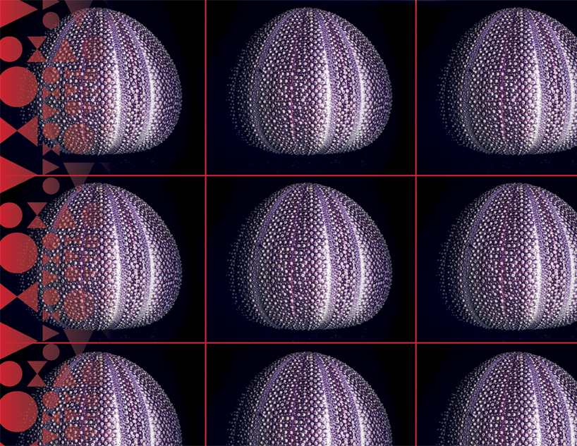 axolight brand identity designboom03